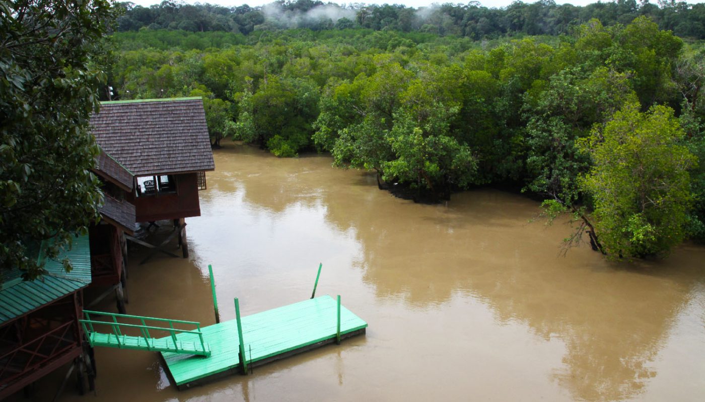 Sepilok Laut Mangrove