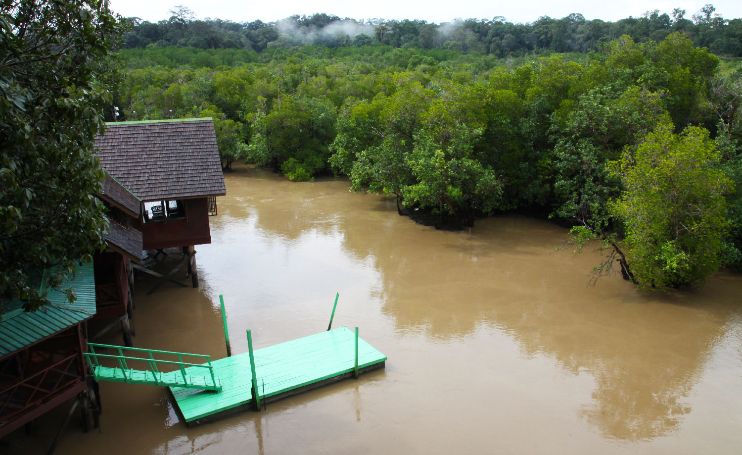 Sepilok Laut Mangrove