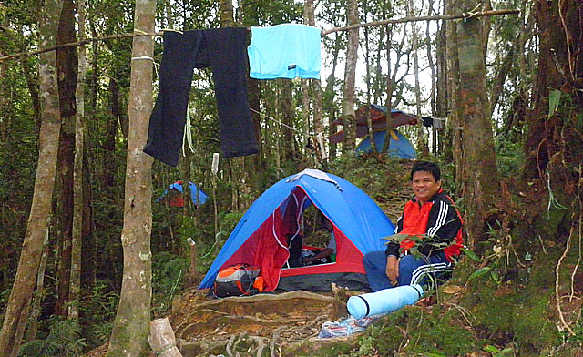 Musang Camp