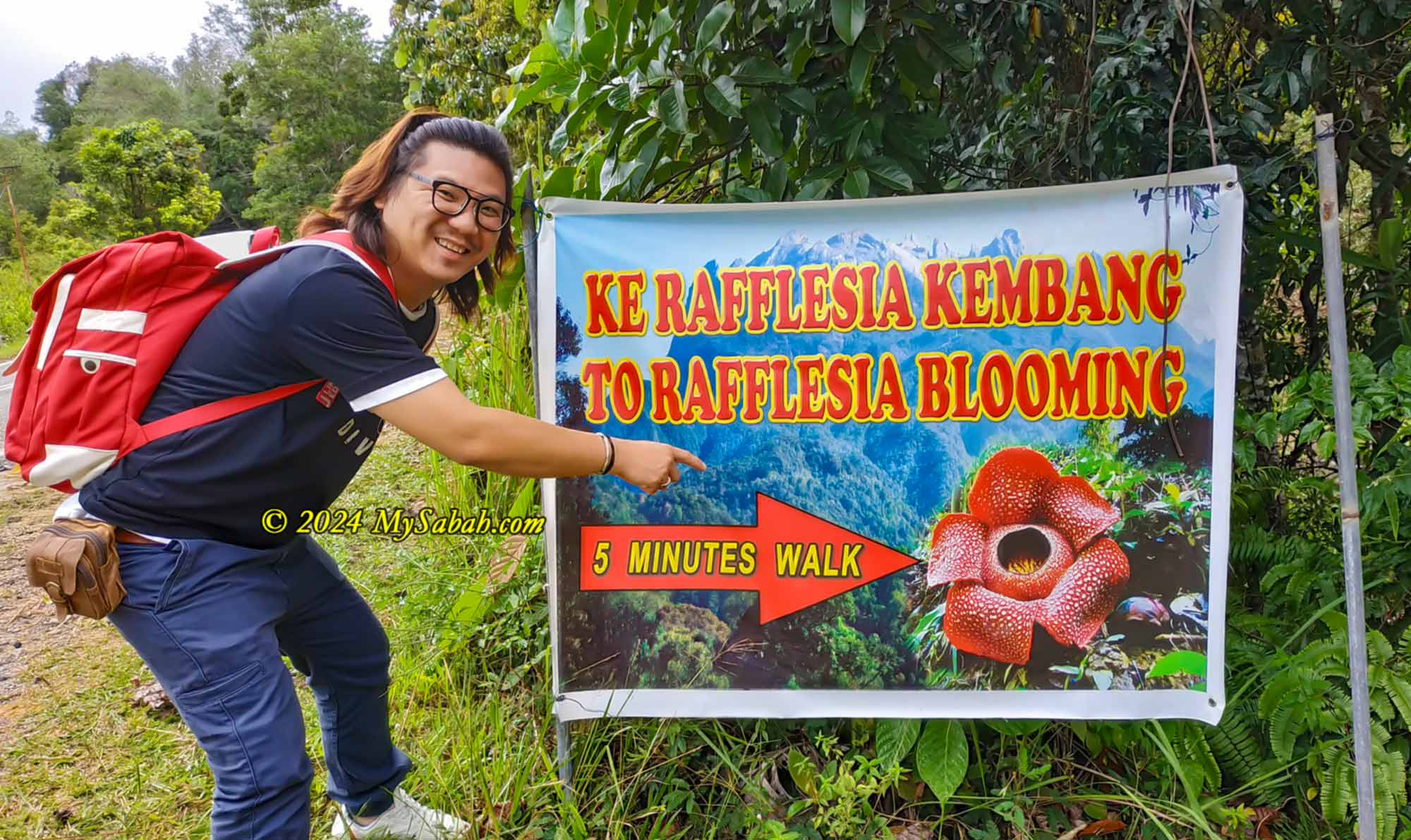 Sighting of blooming rafflesia flower