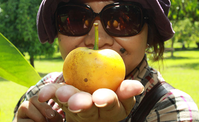 Weird flowers & fruits in Sabah Agriculture Park