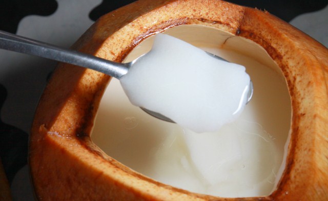 Coconut Pudding