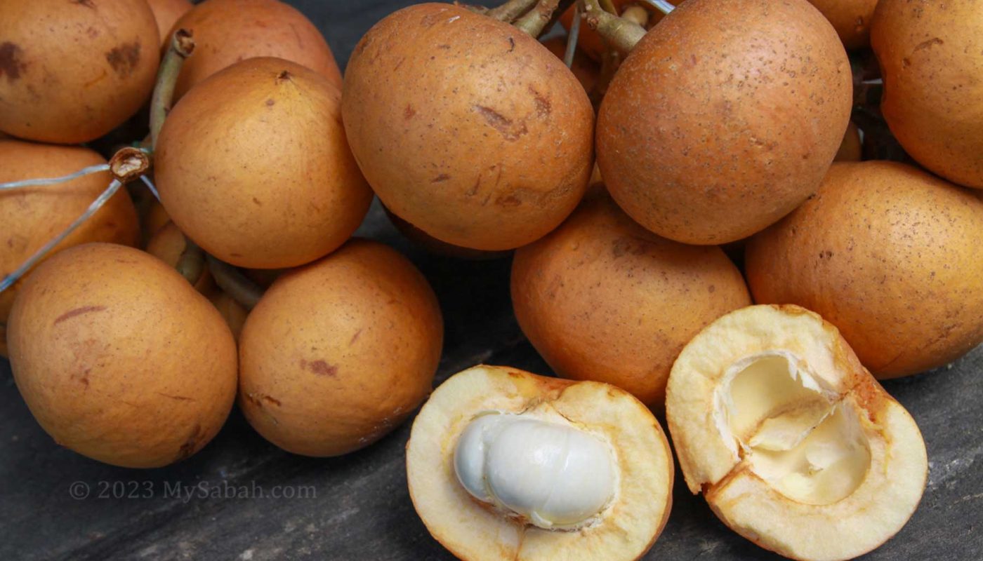 Tampoi / Tampui fruits