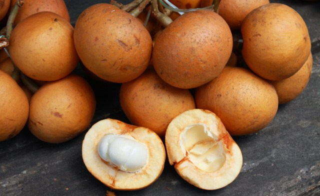 Tampoi / Tampui fruit of Sabah