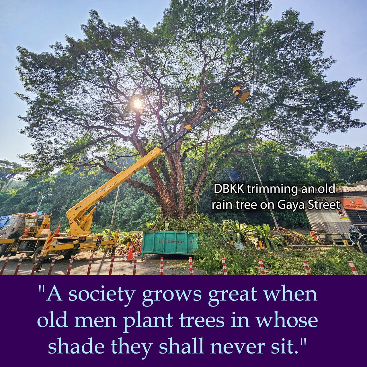 A society grows great when old men plant trees in whose shade they shall never sit.