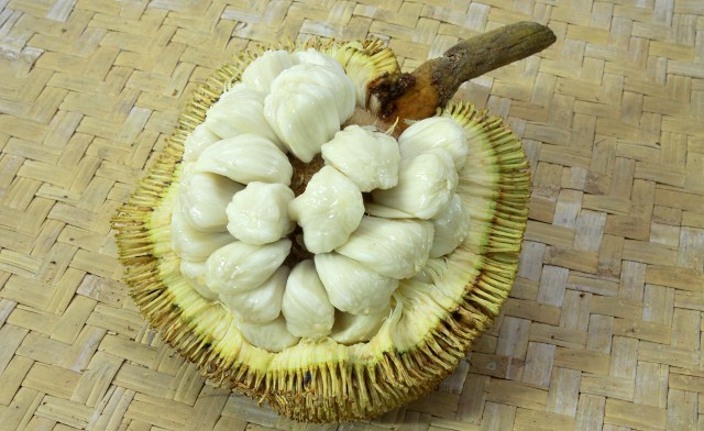 Tarap fruit of Borneo