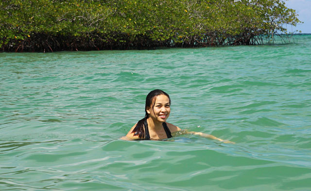 Tumunong Hallu Beach, the Coastal Forest of Borneo