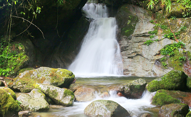 Lupa Masa Jungle Camp