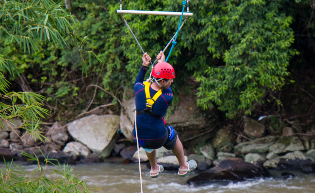 flying fox of Zip Borneo