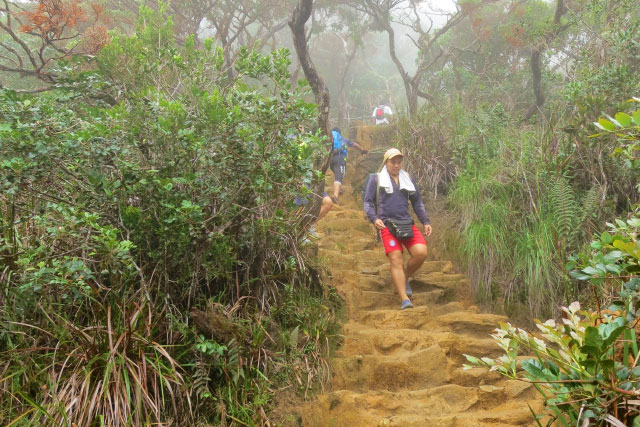 Loop Trail of Mt. Kinabalu, the Best Hiking Route of Sabah