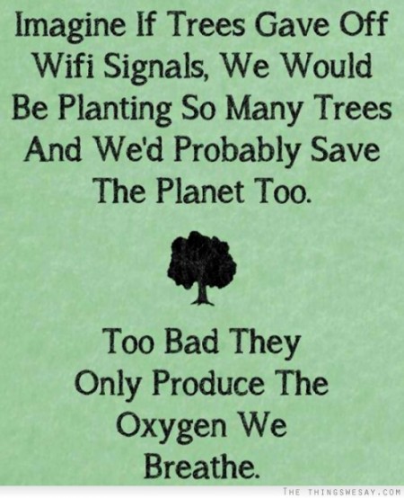 Imagine if trees gave off Wifi signals, we would be planting so many trees and we'd probably save the planet too. Too bad they only produce the oxygen we breathe.