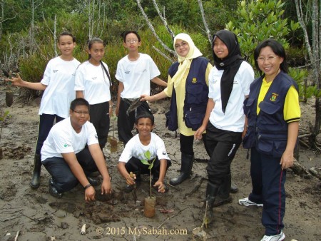 Mangrove tree planting