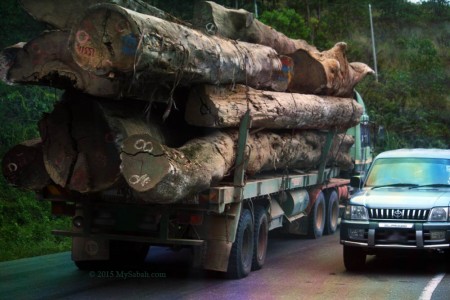 Logging truck