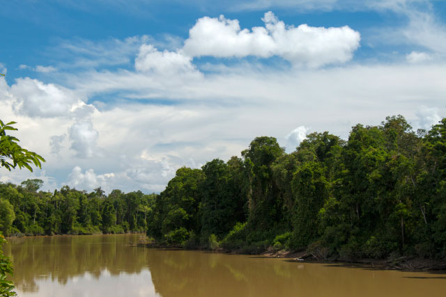 Oxbow Lake and Tanjung Bulat Jungle Camp