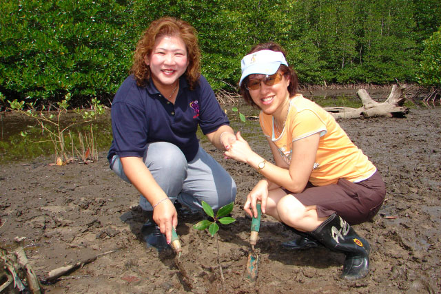 Tree and Coral Planting in Sabah