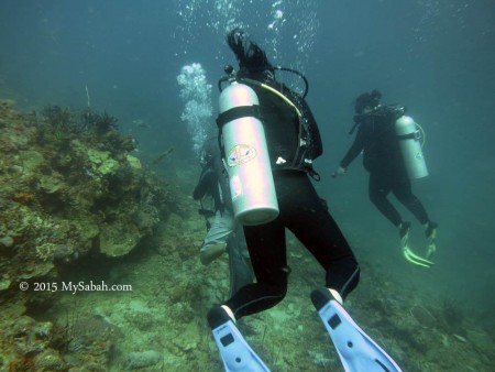 Divers descending to the bottom