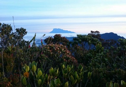 View of Mt. Kinabalu on Mt. Trus Madi