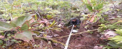 Taman Bunga (Garden Peak) of Mastan Trail