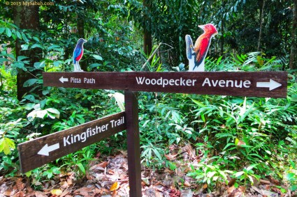 Birding trails of RDC