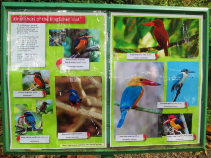 Info signage in Kingfisher Trail