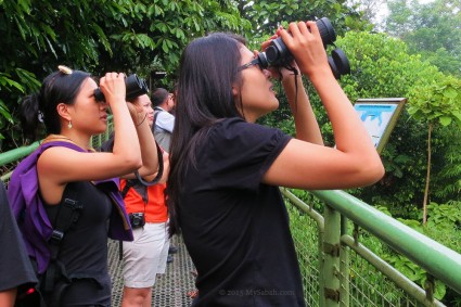 Bird watching is a popular activity at RDC