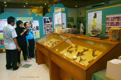 The Exhibition Hall of RDC is great for learning the biodiversity of Borneo