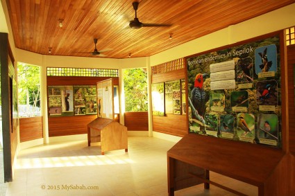 Exhibition about Borneo birds in Drongo House