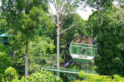Canopy Walk of RDC in Sepilok rainforest