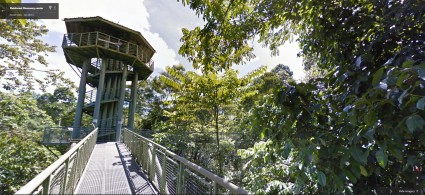 Street View of Rainforest Discovery Center (RDC)