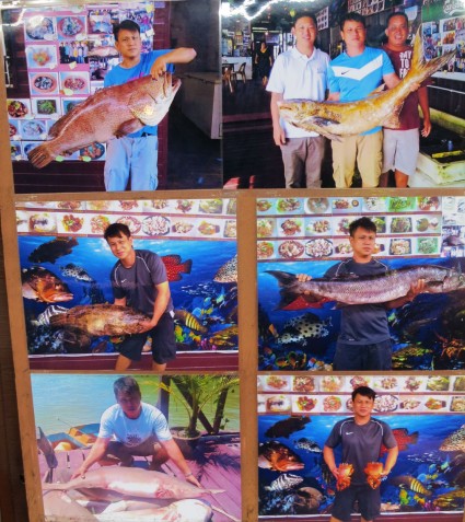 Big Sabah fishes