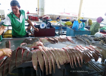 Stingrays for sale