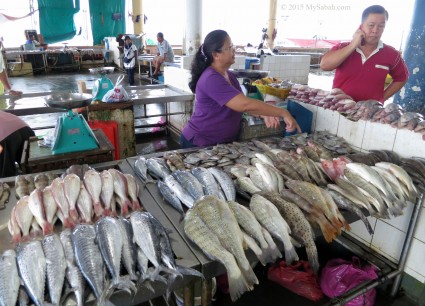 Sandakan Central Market is one of the important port for seafood landing