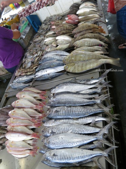 Fresh seafood in fish market