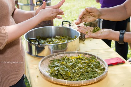 Making tea balls