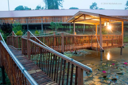 Pool next to Sabah Tea longhouse