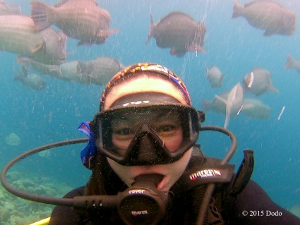 Selfie with Bumphead Parrot Fishes