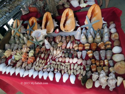 Seashells shop on Mabul