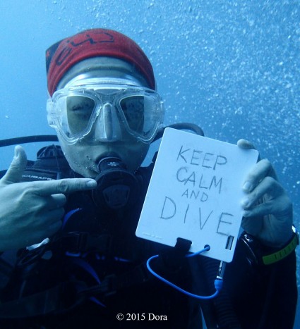 Keep calm and dive