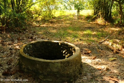 Healing well near the road