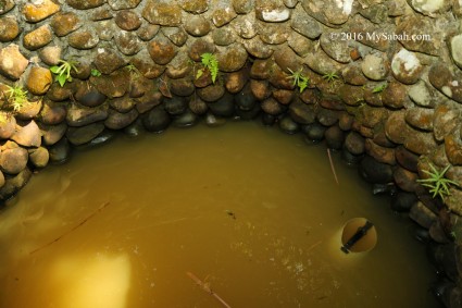 Water in the well