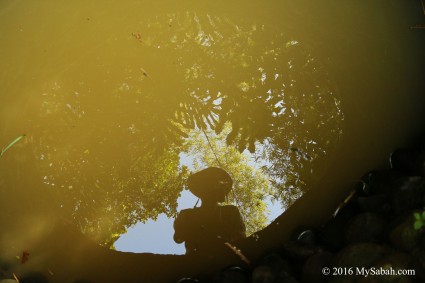 Reflection in the well