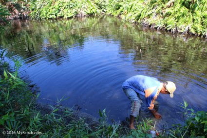 Mud volcano pond