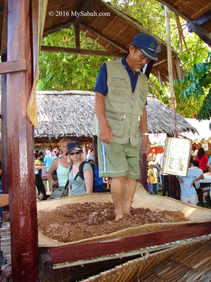 Sago processing with traditional method