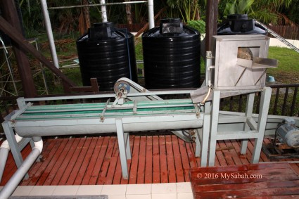 Modern sago processing