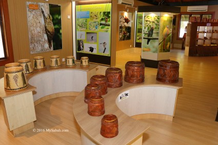 Exhibition about Sago and ecology in Beaufort