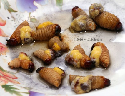 Prepare to cook Sago Grubs (Butod)