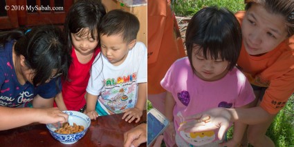 Children learn about sago grubs