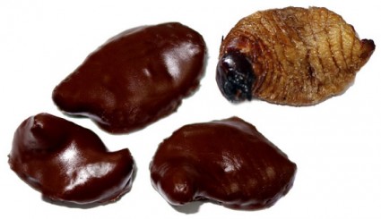 Chocolate Coated Sago Worms