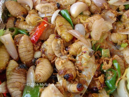 Cooked Sago Grubs (Butod)