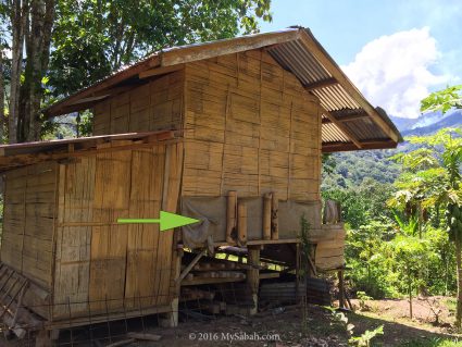 Stingless bee hives (Kelulut)